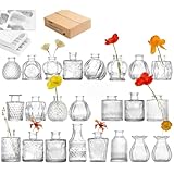 CNKHDZ Mini Bud Vase Glass Set Small Glass Vases Set,Small Flower Vases Home, Vintage Bottles, Transparent Suitable for Table Decoration Birthday Party, Wedding, Baby Shower (23, Transparent)