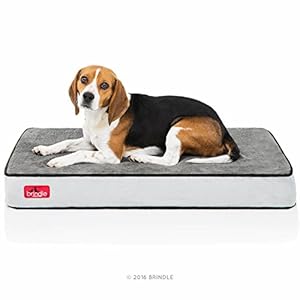 BRINDLE Waterproof Memory Foam Pet Bed – Removable and Washable Cover – 4 Inch Orthopedic Dog and Cat Bed – Fits Most Crates