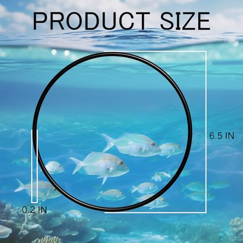 Image of O-Ring A20038 A-20038 Replacement for Fluval 104, 105, 106, 107, 204, 205, 206, 207 Motor Head Lid Seal Ring (2 Pack)