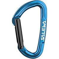 Salewa Hot G3 Straight Karabiner, Blau