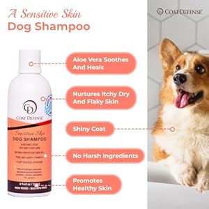 COAT DEFENSE Paw Licker Bundle | Dry Powder for Dogs & Sensitive Skin Dog Shampoo for Allergies and Itching | Smell & Itch Relief | Itchy Skin Relief & Yeast Dog Treatment COAT DEFENSE Paw Licker Bundle Dry Powder for Dogs Sensitive Skin Dog Shampoo for Allergies and Itching Smell Itch Relief Itchy Skin Relief Yeast Dog Treatment