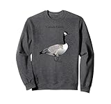 Les oies passent l'été dans les climats nordiques, puis migrent vers le sud à l'automne pour l'hiver dans les climats plus chauds.