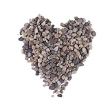 Gogogmee Piedras Naturales Decorativas para Microlandscape y Guijarros de Río para Jardines Terrarios y Botellas de