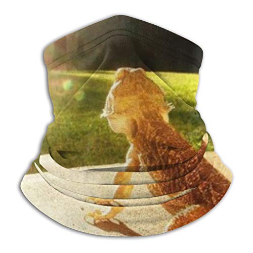 Tube Face Mask Neck Warmer Cover Headwrap Sunscreen Face Cover Beanie Hat