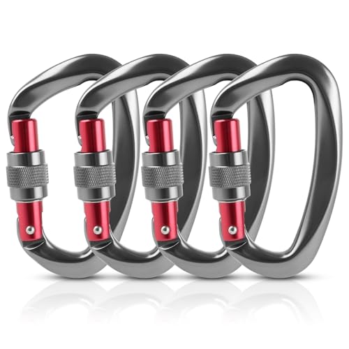 LOPYXBR 4 Stück Karabiner Klettern 25KN Karabinerhaken Klettern, Aluminium Karabinerhaken Groß, Hochleistungs Kletterkarabiner für Klettern, Fallschirmspringen, Bergsteigen, Schaukeln, Hängematten