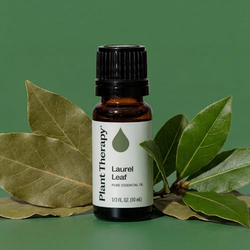 Aceite Esencial de Hoja de Laurel 10 mL 100% Puro miniatura 6