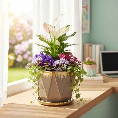 Image of Xtore Elegant Faceted Ceramic Planter with Metallic Rim & Drain Tray | Contemporary Decorative Pot for Living Room, Desk & Balcony Styling (Pack of 1, Planter only)