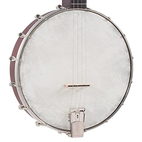 BABサマAlia SB-20T ショートスケールテナー4弦バンジョーHケース付 BABサマAlia SB-20T ショートスケールテナー4弦バンジョーH