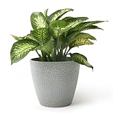 LA JOLIE MUSE Outdoor Indoor Tree Planters - 14 Inch Large Planter Flower Pots Containers, Plant Pot