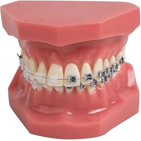 Amazon.co.jp: 審美・修復剤 - 業務用歯科用品: 産業・研究開発