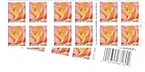 Peace Rose 2018 (2 Books of 20) First-Class Mail Forever Postage Stamps