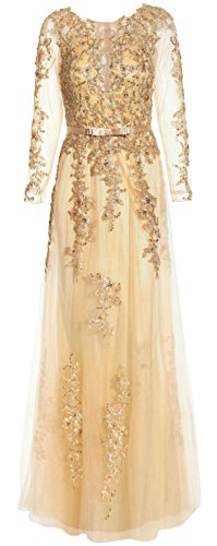 Meier Women's Illusion Long Sleeve Embroidery Prom Formal Dress Gold Size 10