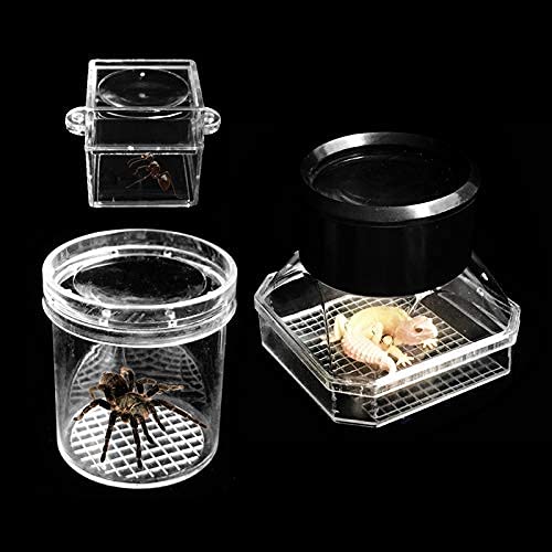 DUBOM Lupa de Mano Lupa Visor de Insectos Acrílico portátil Insectos Observación Lupa Recolección Visor Lupa Niños Niños Niña Regalo Lectura/Observación/Reparación Leer Lupa Lucky Star