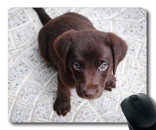 Preisvergleich Produktbild Benutzerdefinierte Mauspad, Hunde Welpen Haustiere Mauspads, Welpen Labrador Purebred Retriever Hund Haustier Braun, Hunde Gaming Mausmatte