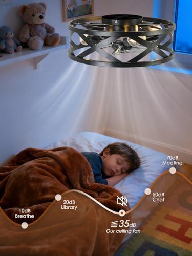 Image of 20 Inch Caged Ceiling Fan Light with Remote, Black Flush Mount Bladeless