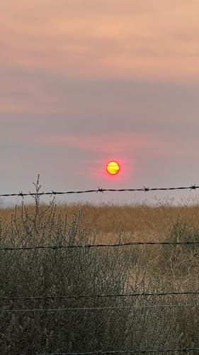 『Barbed-Wire Sunrise』のカバーアート