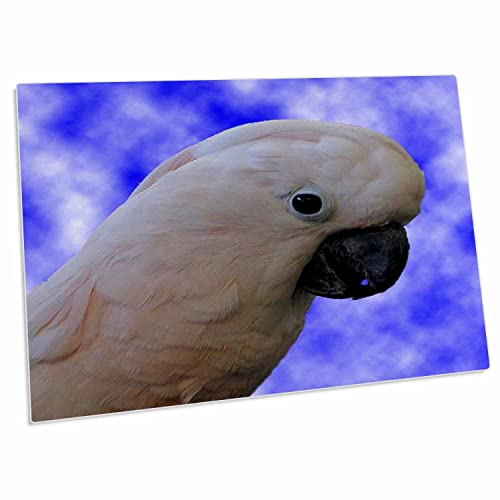3dRose Birds - Cockatoo Portrait - Desk Pad Place Mats