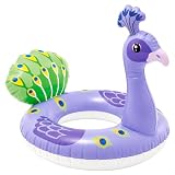 Pavo Real Morado Flotador Piscina,Foto Vacaciones Viaje Jardín Terraza Lago SPA Viaje
