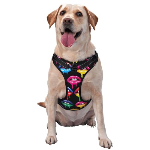 Dog Harness with Reflective Rope and Rainbow Pride Design