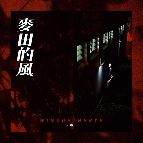 麦田的风 麦田的风