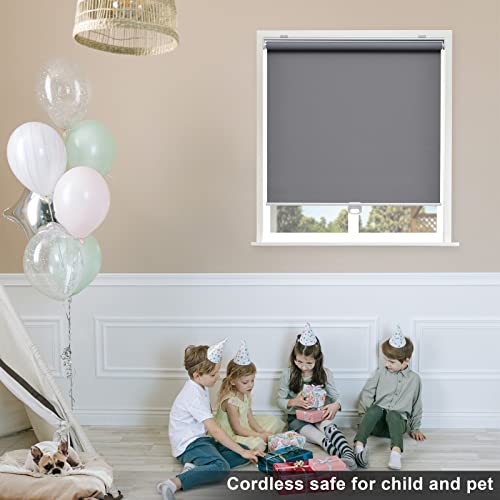 Blackout Roller Shades Blinds Cordless for Windows Pull Down Room Darkening Door Blinds with Thermal Insulated Easy to Install for Living Room,Bedroom,Home,Office Bathroom Grey 65" W x 72" H
