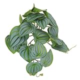 UTHCLO 爬虫類用吊り下げ人工観葉植物 フェイクアクアリウム対応 柔軟で耐久性ある多枝構造 隠れ家を作る自然模倣テラリウム装飾