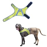 FINNERO Günstige Reflektierende Warnweste für Hunde – Leichte, Atmungsaktive & Verstellbare Sicherheitsweste in Gelb für Beste Sichtbarkeit im Dunkeln (S)