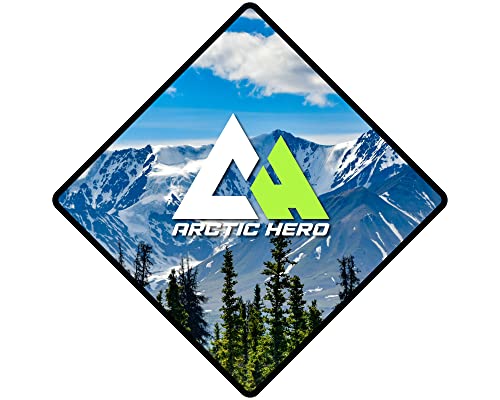 Arctic Hero Kids' Snow Bib – Unisex Boys' And Girls' Insulated Waterproof Snow Pants Ski/Snowboard Overalls (4-18), Size 16-18, Black #TOP6