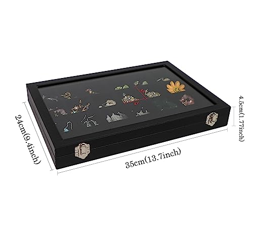 Wudygirl Jewelry Organizer Clear Lid 24 Grid Jewelry Box Case Organizer Showcase Display Jewelry Tray Removable Black Velvet Locked