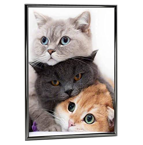 Decanit 5X7 Picture Frame Metal, Thin Edge Photo Frames For Tabletop Display And Wall Mounting,Black #TOP1