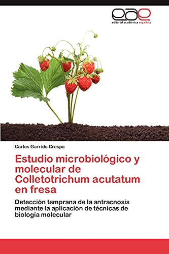 Estudio microbiológico y molecular de Colletotrichum acutatum en fresa: Detección temprana de la antracnosis mediante la aplicación de técnicas de biología molecular