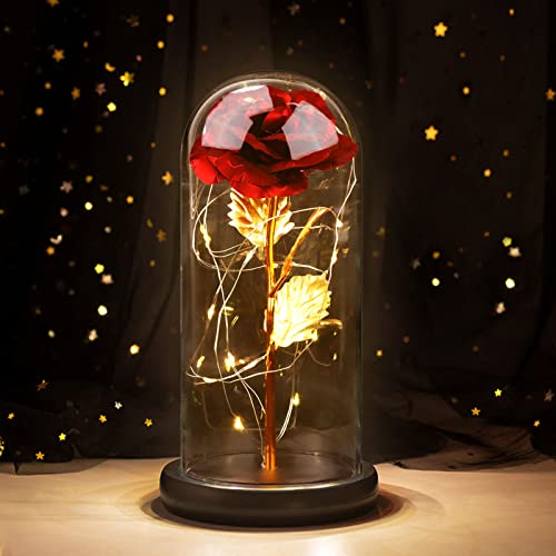 Joyhoop Rosa Eterna Rossa, Rosa Bella e la Bestia, Rosa in Vetro con Rosa Led Luci,Idee Regalo Donna Compleanno,Regalo Mamma, Regalo Natale Anniversario San Valentino Festa Della Mamma, Regali per Lei