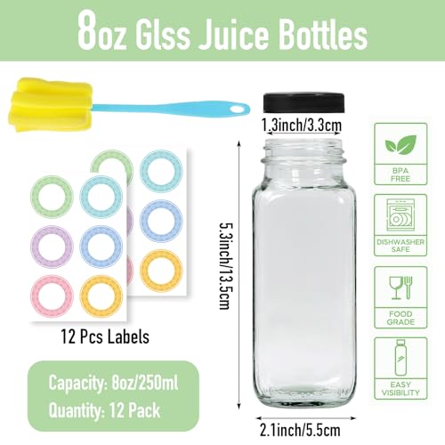 NEWMIAO 12 pack 8 oz Glass Juice Bottles with Lids, Reusable Glass Water Bottles, 250 ml Juice Containers Drinking Jars with Brush, Drink Jars for Milk, Juicing, Kombucha, Ginger