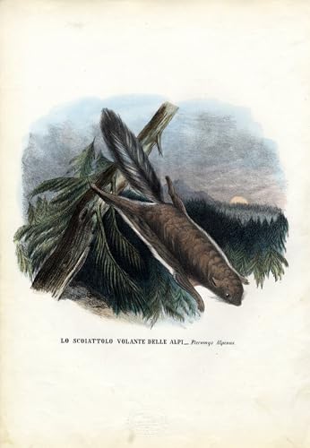 Tableau en toile du poète officiel par Carlo Pellegrini vintage 60x90cm