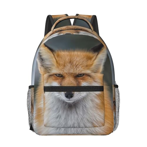 Sac à dos étudiant renard imperméable fini les cahiers mouillés à l'école