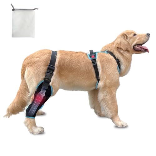 Image of IEhotti Dog Knee Brace for Torn Acl Hind Leg, Dog Leg Braces for Back Leg with Extra Dog Harness, Dog Hip Brace for Cruciate Ligament Injury, Relieves Pain and Better Recovery, Small