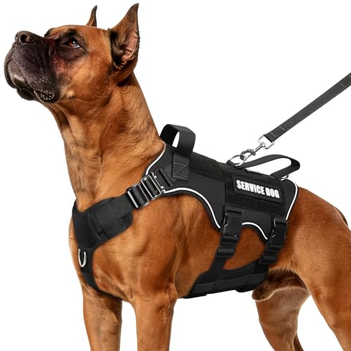 MOOGROU Tactical Service Dog Vest and Leash Set,Heavy Duty Harness with Metal Buckles for Medium...