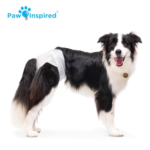 Image of Paw Inspired 20ct Disposable Dog Diapers | Female Dog Diapers Ultra Protection | Diapers for Dogs in Heat, Excitable Urination, or Incontinence (Large) (Pack of 3)