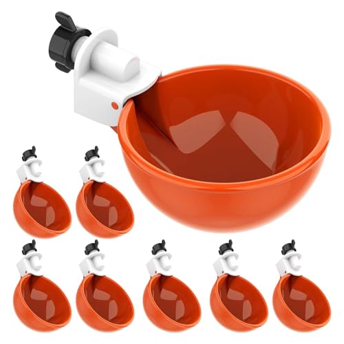 �琗�ɗD�����Ƌ׈����J�b�v�K�`���E�A�q���{�p���������펩���{������