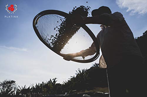 CAFÉ PLATINA em Grãos - O Original de Águas da Prata