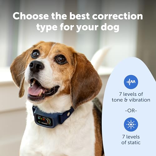 PetSafe Core Digital Dog Bark Collar - image 3
