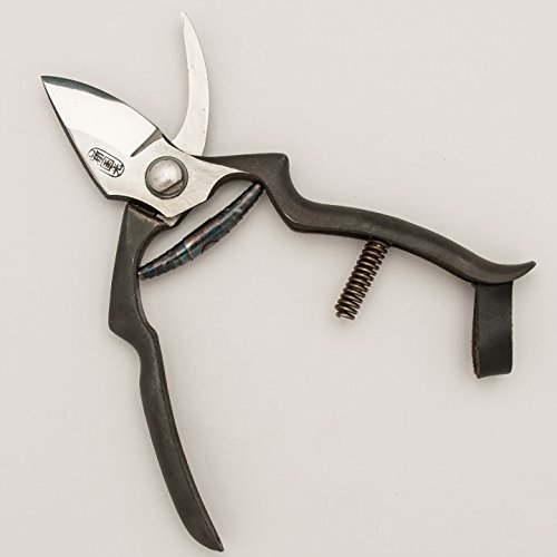 Amazon.co.jp: 東北打刃物 新国光 剪定鋏 津軽型 皮止 : DIY, Tools