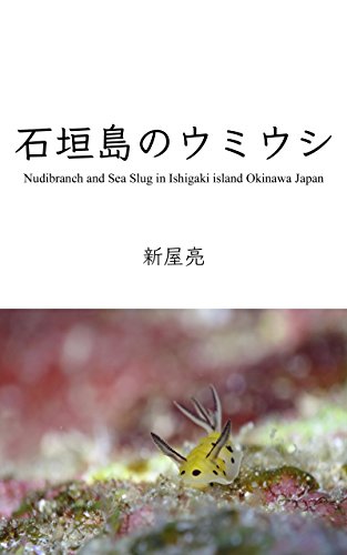 無料電子書籍アプリ 石垣島のウミウシ バイ