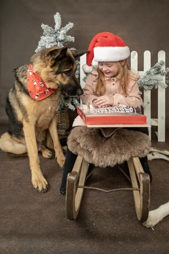 Adventskalender Hund – Nature Snack – 24 natürliche Leckerlis – glutenfrei – ohne Zuckerzusatz – Flamingo