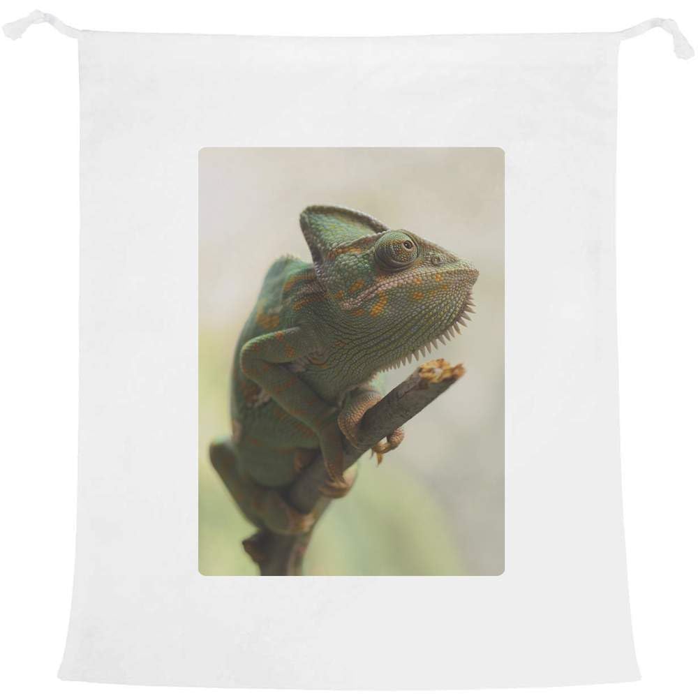 Azeeda 'Cameleon On Stick' Laundry/Washing/Storage Bag (LB00004605)