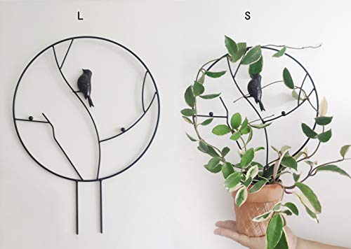 Riseon set of 2 black iron garden trellis, vine plant metal suppo…