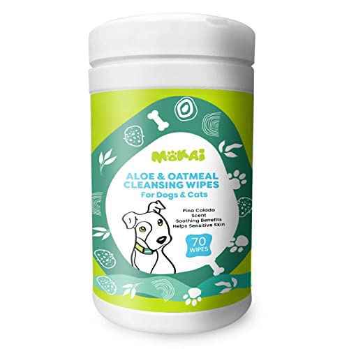 Cat Dental Wipes For Oral Health A Complete Guide