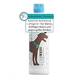 HUNDEPFLEGE24 Hundeshampoo weißes Fell 500ml - Natürlich Aufhellend & Pflegend für klares, kräftiges Weiss & gegen gelbe Flecken - Mit Conditioner für leichte Kämmbarkeit - Weißes & Helles Fell