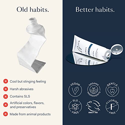 Better & Better Purity Toothpaste | Fluoride Free, Sls Free Toothpaste For Sensitive Brushers | 1 Ct | Fresh Breath With Organic Mints | Natural, Vegan, Whitening Toothpaste To Remove Plaque #TOP3