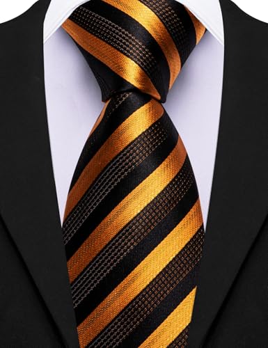 Image of Barry.Wang Silk Men Ties Formal Stripes Necktie and Tie Clip for Wedding Party Business Fashion Classic